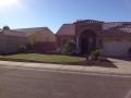 landscape-turf