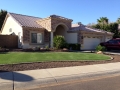 landscape-turf2