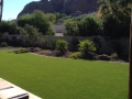 landscape-turf4